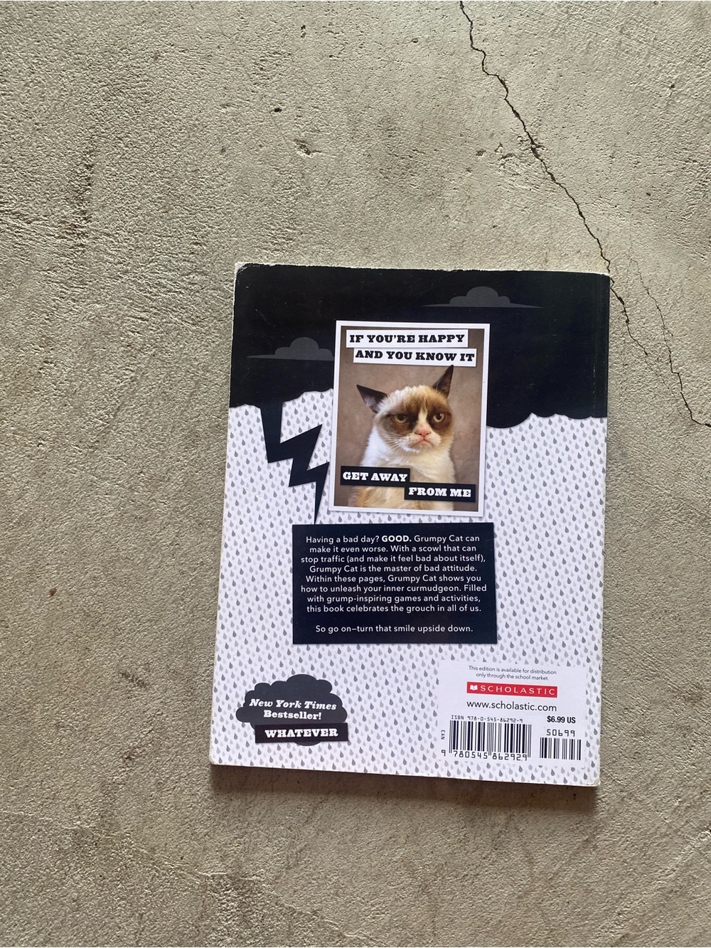 Grumpy Cat - ‘A Grumpy Book’ - Picture 3 of 3